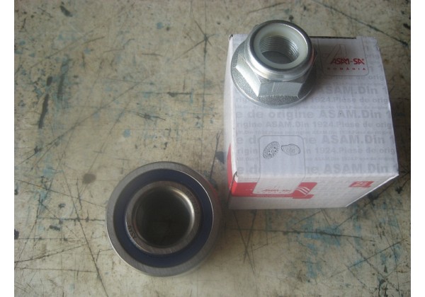 Підшипник ступиці колеса, задній Renault Kangoo, Laguna, 5, Super 5, Rapid, Logan, Sandero, 25x55x43